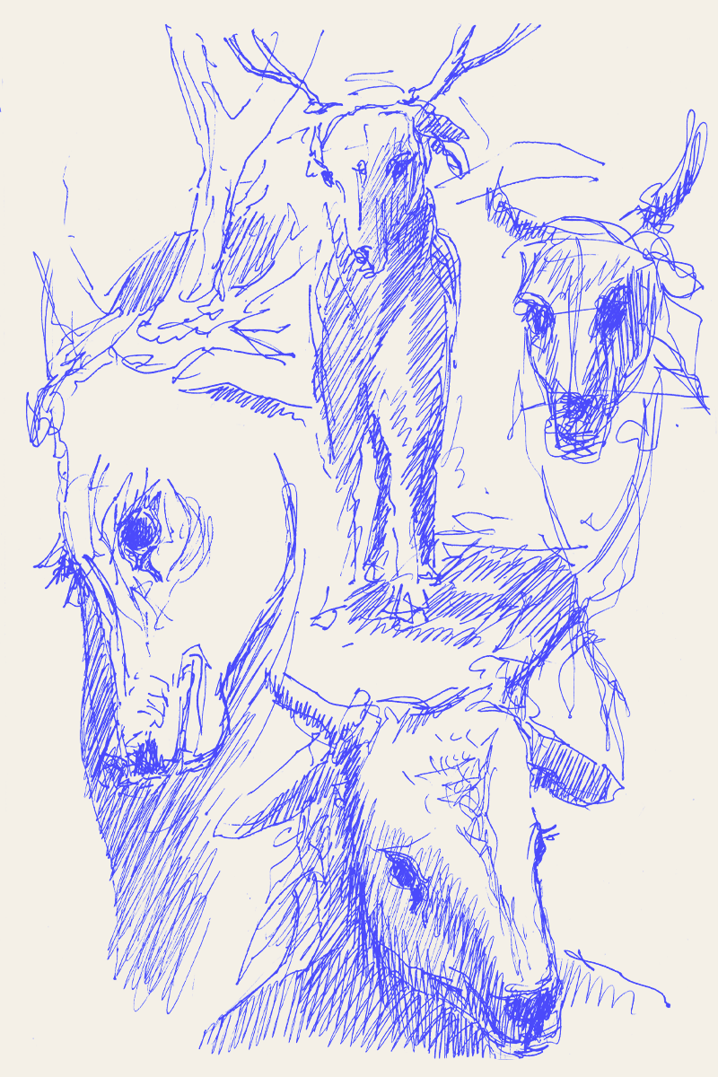 Dessin précis fait avec une multitude de trais fins de quatre fois le même cerf vu sous plusieurs angles, en lila sur fond blanc,  effectué en transe