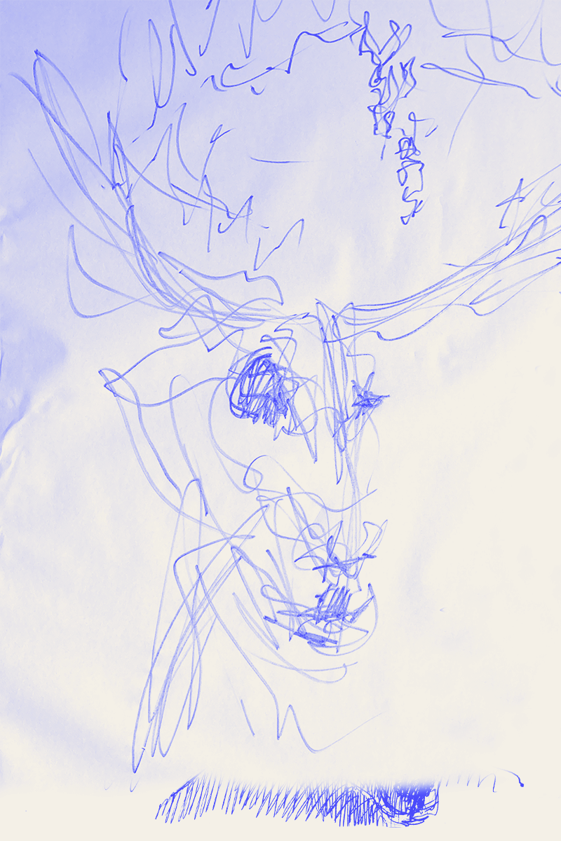Dessin rapide et dynamique d'un cerf vu de trois quart, en lila sur fond blanc,  effectué en transe