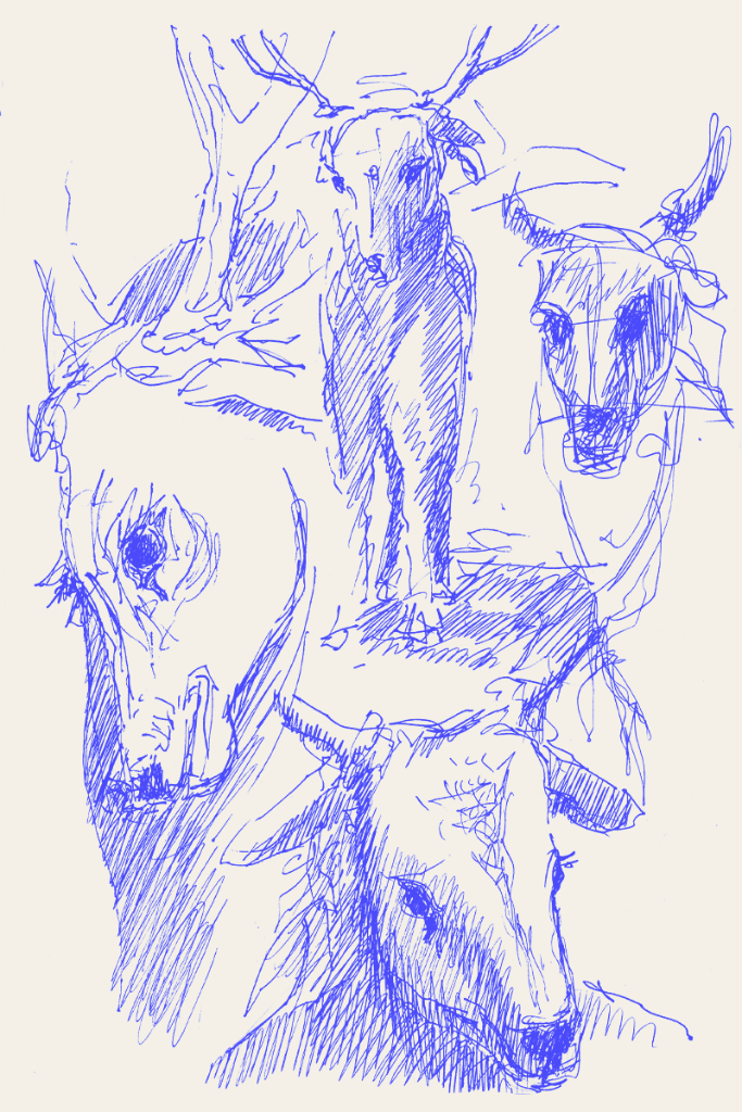 Dessin au stylo représentant plusieurs cerfs aux traits hachurés et appuyés, réalisé hors transe.